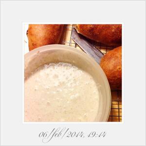 Lievito Liquido Kayser