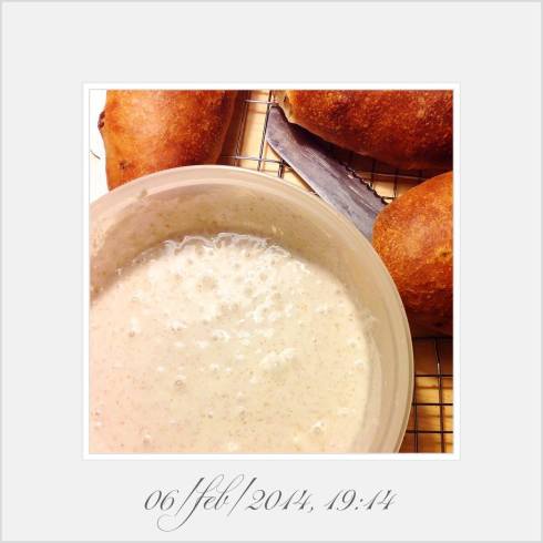 Lievito Liquido Kayser