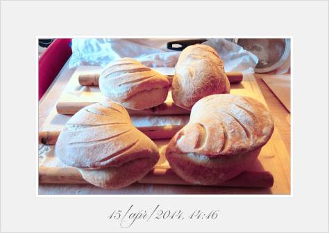 Kayser Le Larousse du Pain Tabatiere