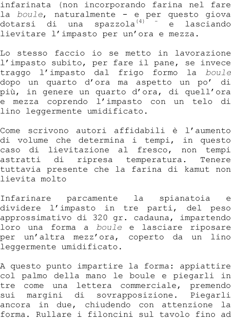 Pane al Kamut Kayser_Pagina_2