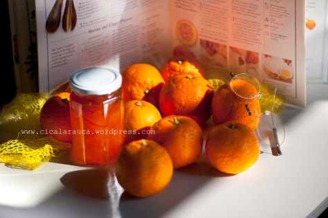 arance-amare-preserving_7001791-as-smart-object-1