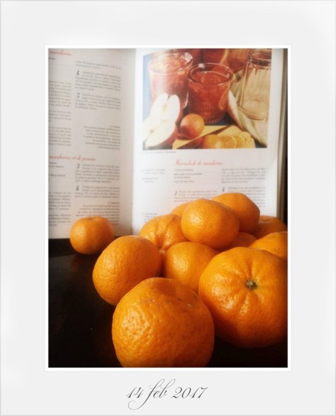 Marmellata di Mandarini, Christine Ferber: Le Larousse des Confitures